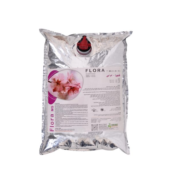 فلورا-ام-اس